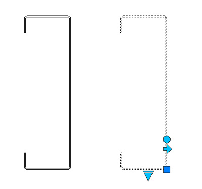 c-ris-1