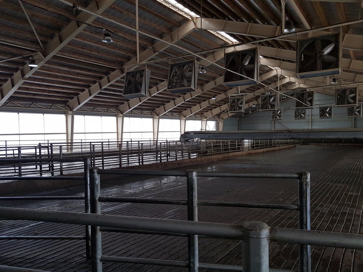 tseh-po-proizvodstvu-granulirovannogo-korma-dlya-skota-02