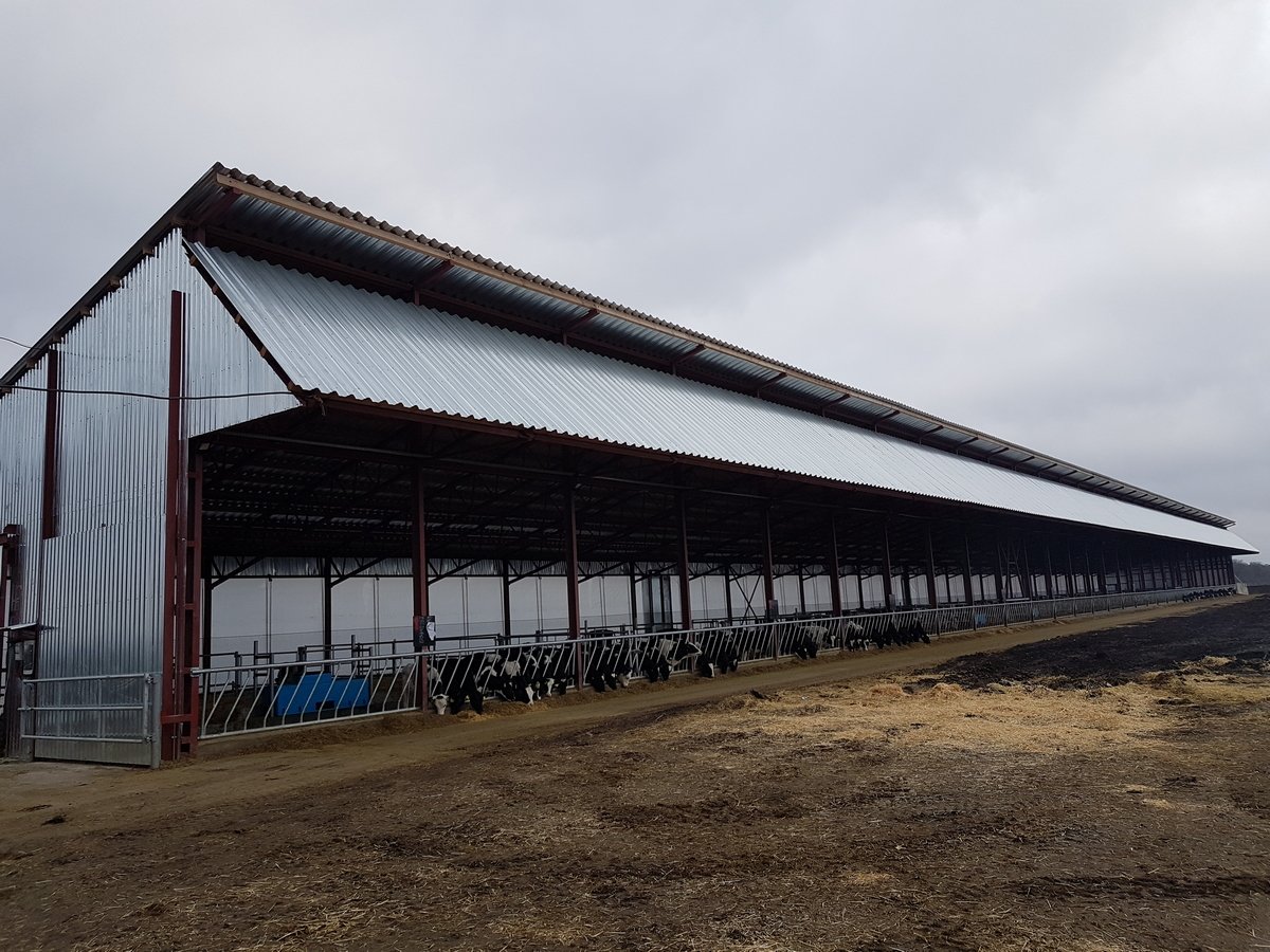 tseh-po-proizvodstvu-granulirovannogo-korma-dlya-skota-03