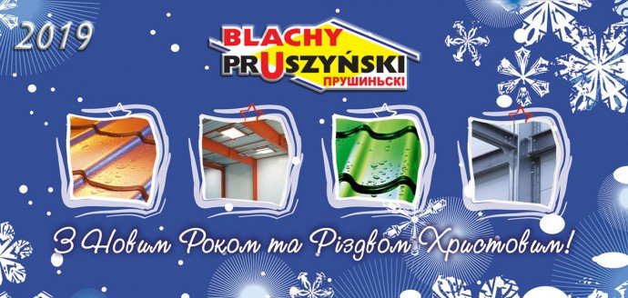 pruszynski_nrik_2019