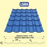 Поперечний розріз листа